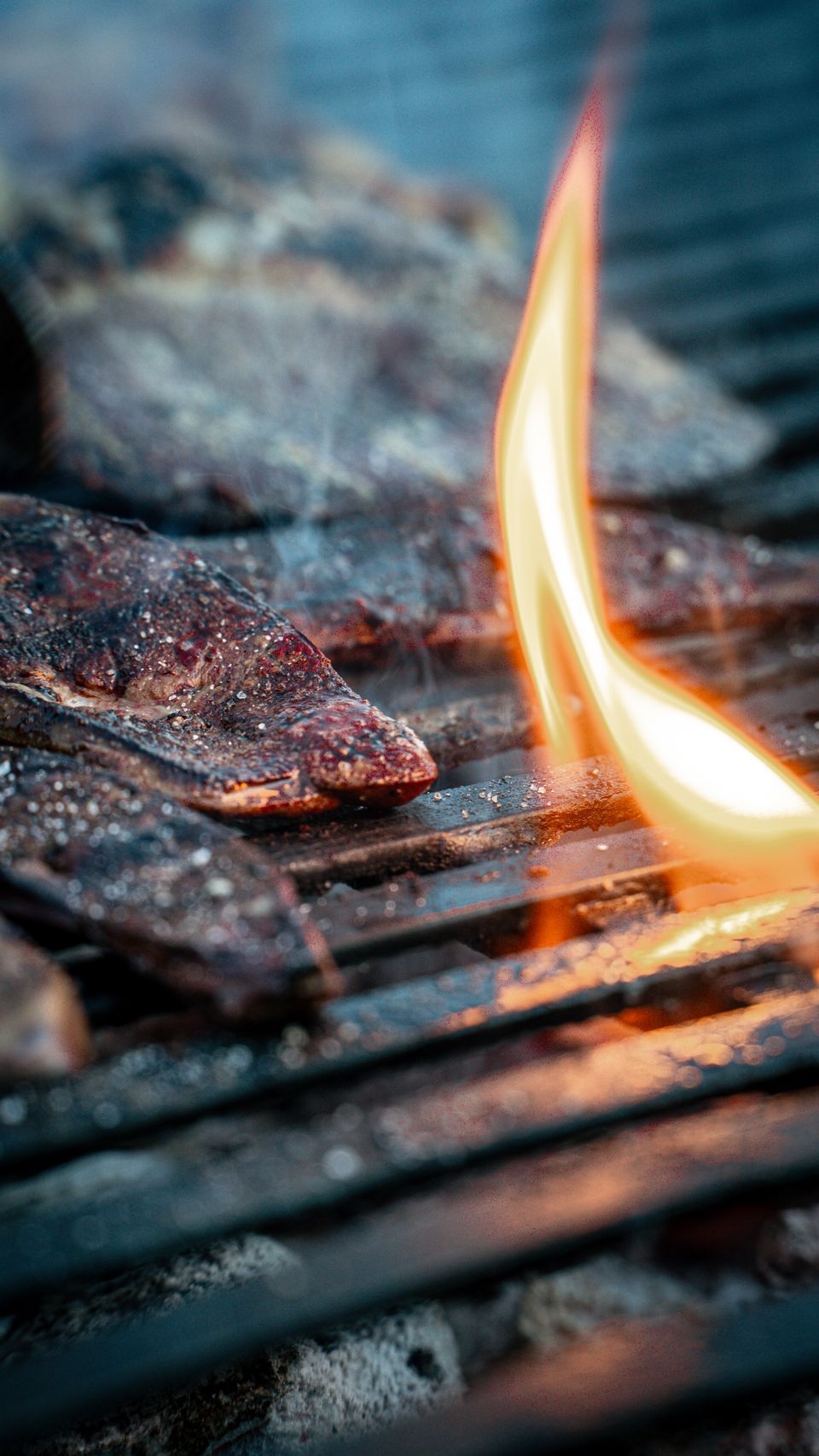 Top-down grilled carne asada with charred citrus and sage leaves